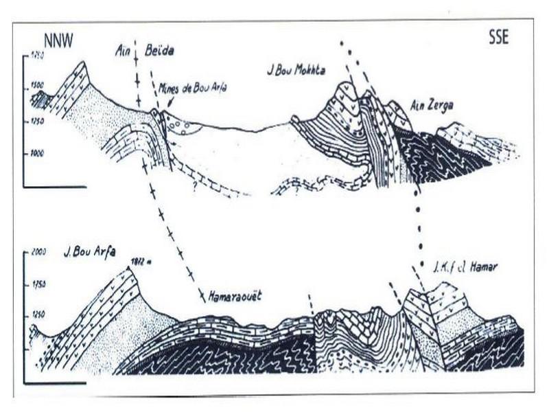 geologiques-gisement-de-Bouarfa